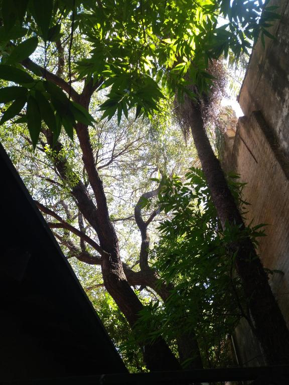 Zahrada ubytování Casa BuenaOnda Asunción