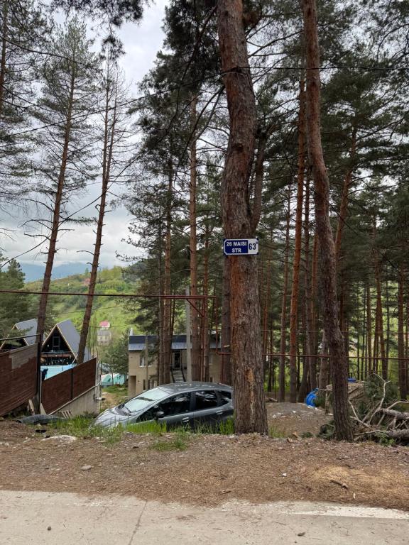 Příroda nedaleko hotelu