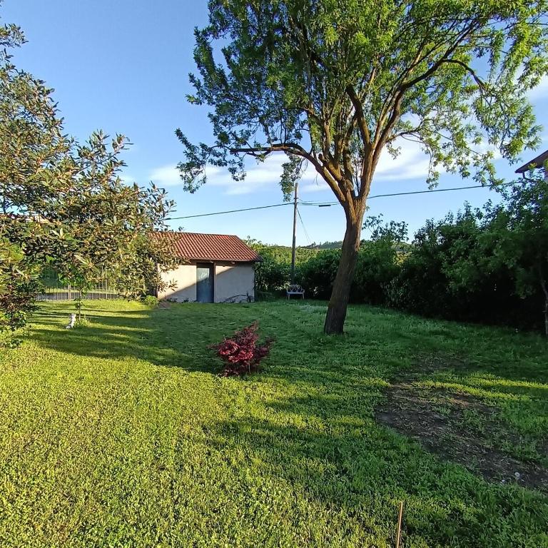 Zahrada ubytování Subiet B&B