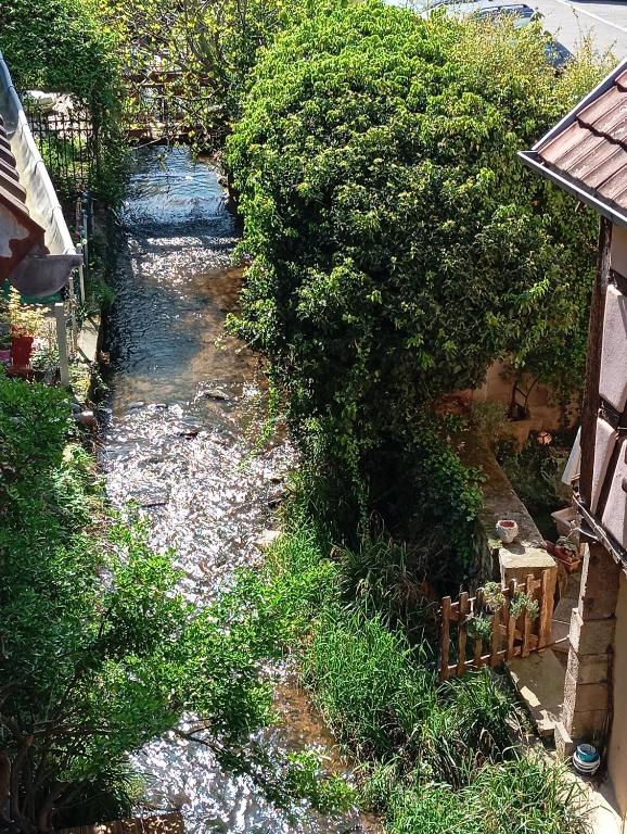 Příroda nedaleko apartmánu
