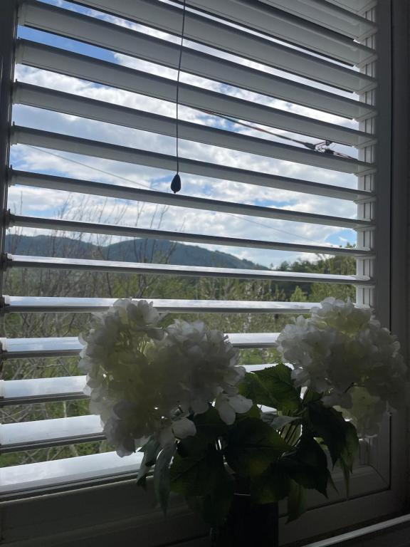 Fotografie z fotogalerie ubytování Riza Guest House v destinaci Polisi i Vogël