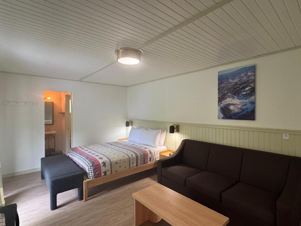 Ski Mountain Lodge photo