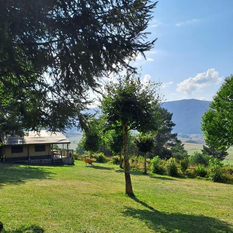 un arbre au milieu d'un champ avec une maison dans l'établissement grote lodge safaritent 4, à Camurac