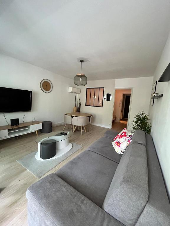 un salon avec un canapé et une télévision dans l'établissement Juan-les-Pins 2 pièces avec parking & proches des plages, à Antibes