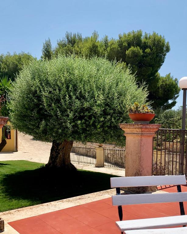 A garden outside Il Calesse - Noto