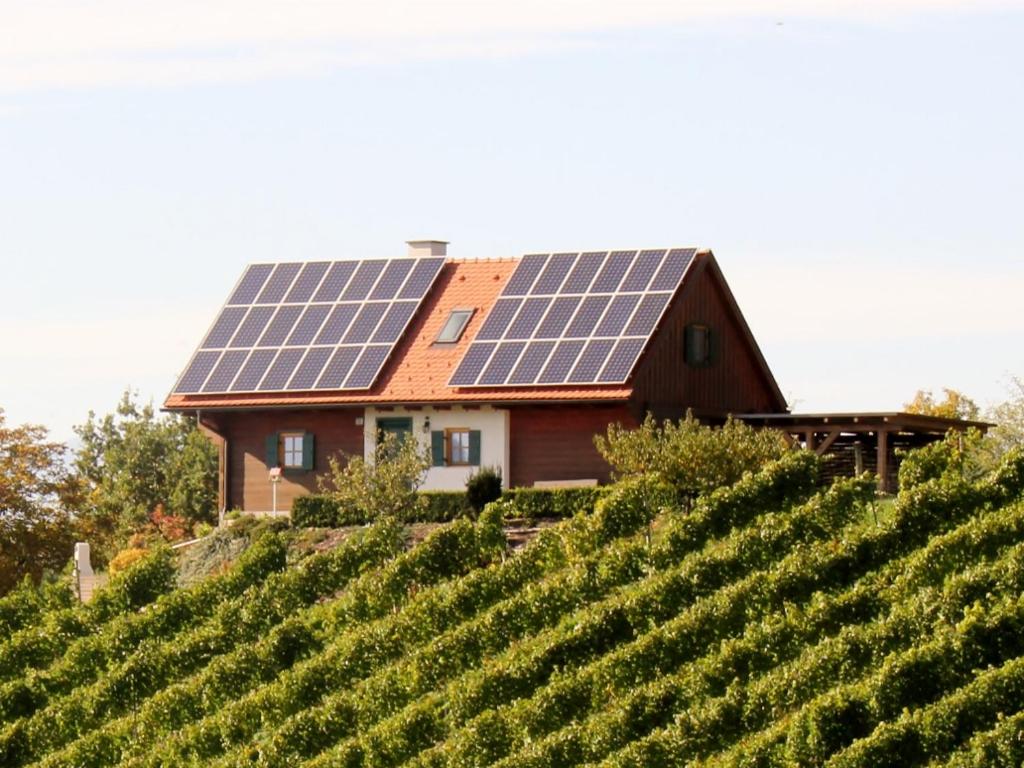 a house with solar panels on top of a vineyard at Kröll-Hube in Sankt Johann im Saggautal