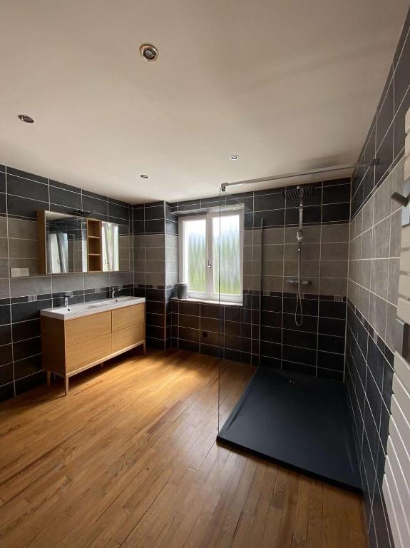 une salle de bain avec un lavabo, une douche et un miroir dans l'établissement Le gîte des vosges, à Anould