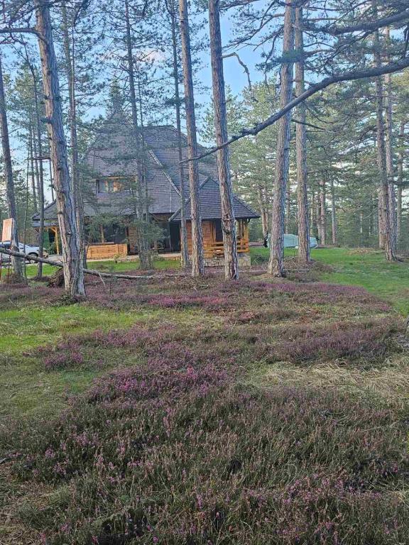 a log cabin in the middle of a forest at Apartman Crni bor 2 Tara in Kaludjerske Bare