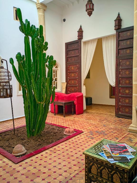 Fotografie z fotogalerie ubytování La Fontaine Bleue v destinaci Essaouira