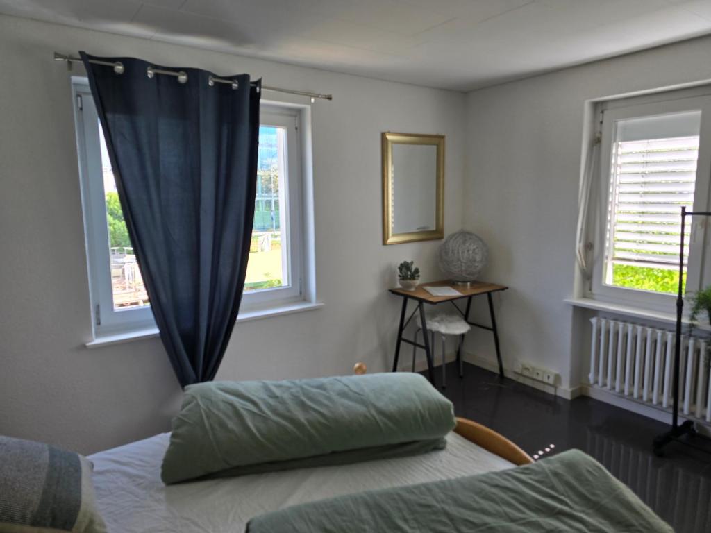 una camera da letto con un letto e due finestre di Eco Home a Zurigo