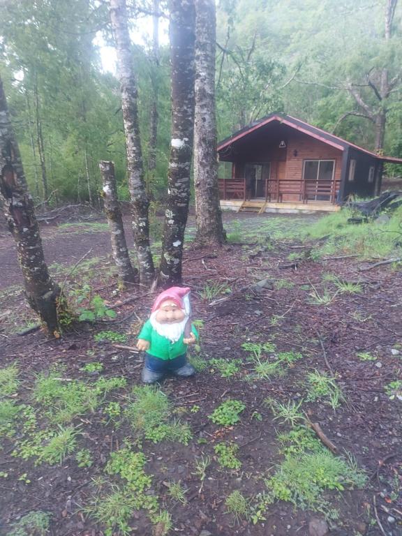 Vườn quanh Cafeteria y Cabañas Eluney - Llaurel