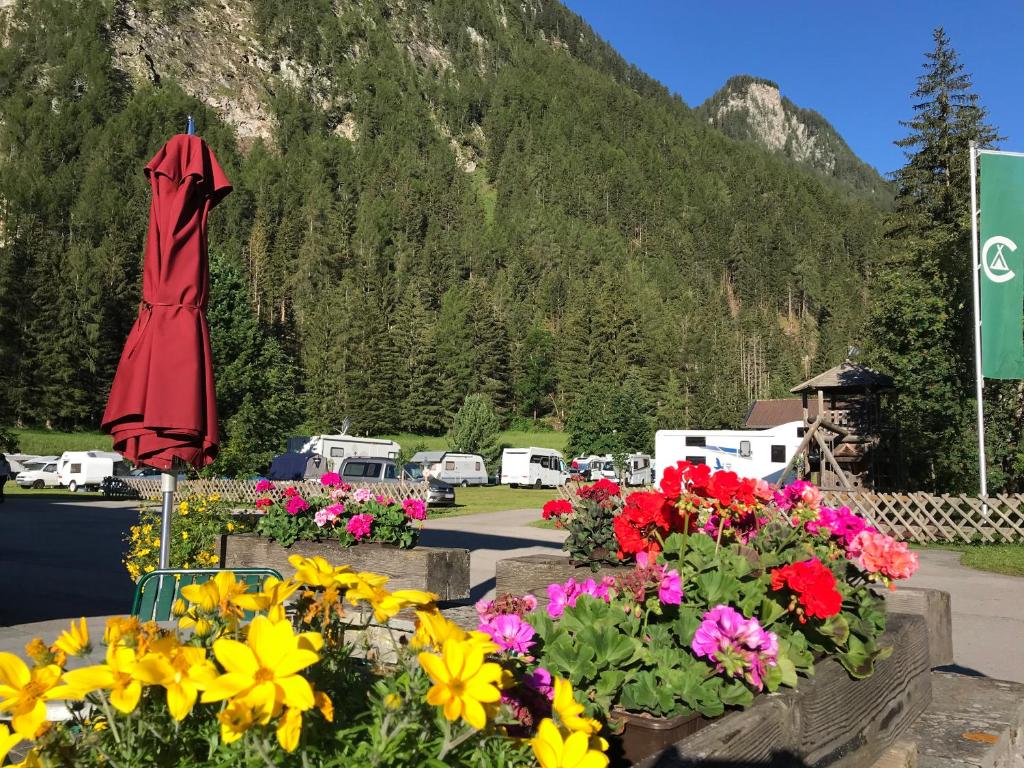 a bunch of flowers in pots in a parking lot at Nationalpark-Camping Großglockner in Heiligenblut