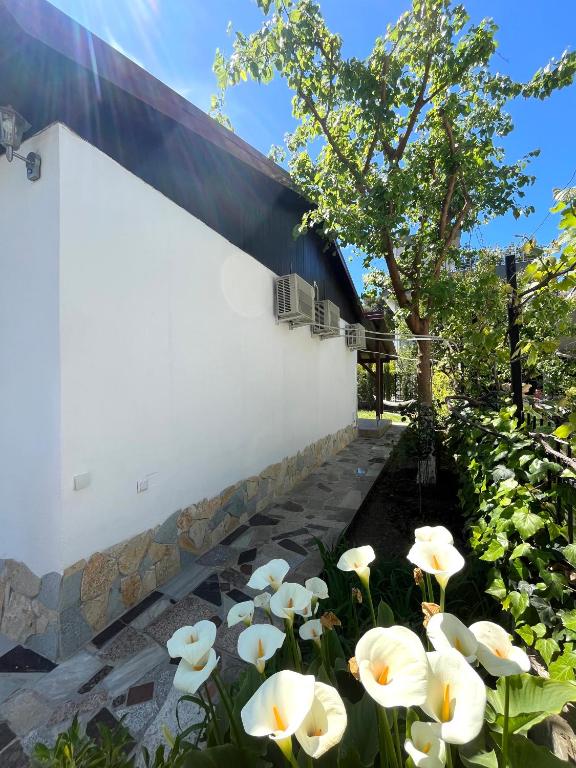 Taman di luar Seaside Cottage with Garden