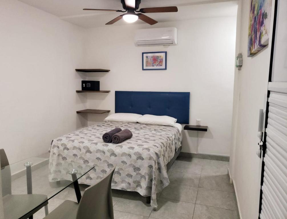 Casa Aura - Koningin Studio