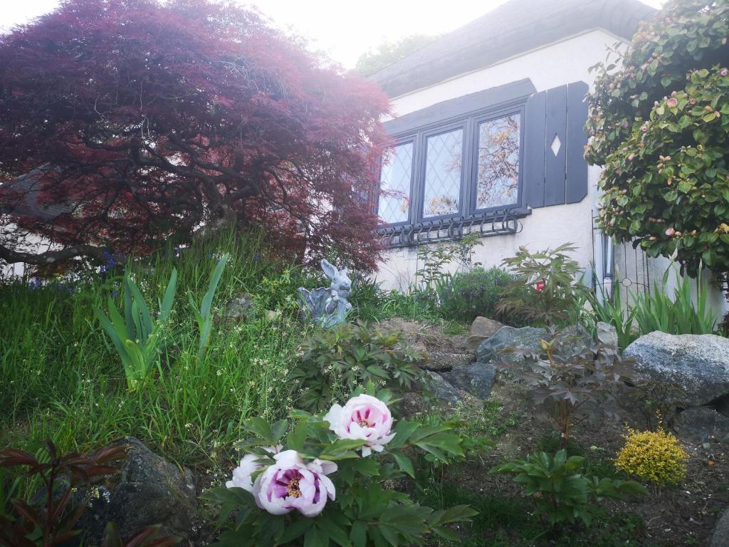 Zahrada ubytování UVIC Cottage