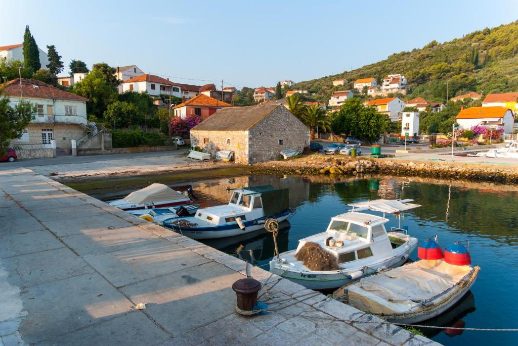 Příroda nedaleko apartmánu