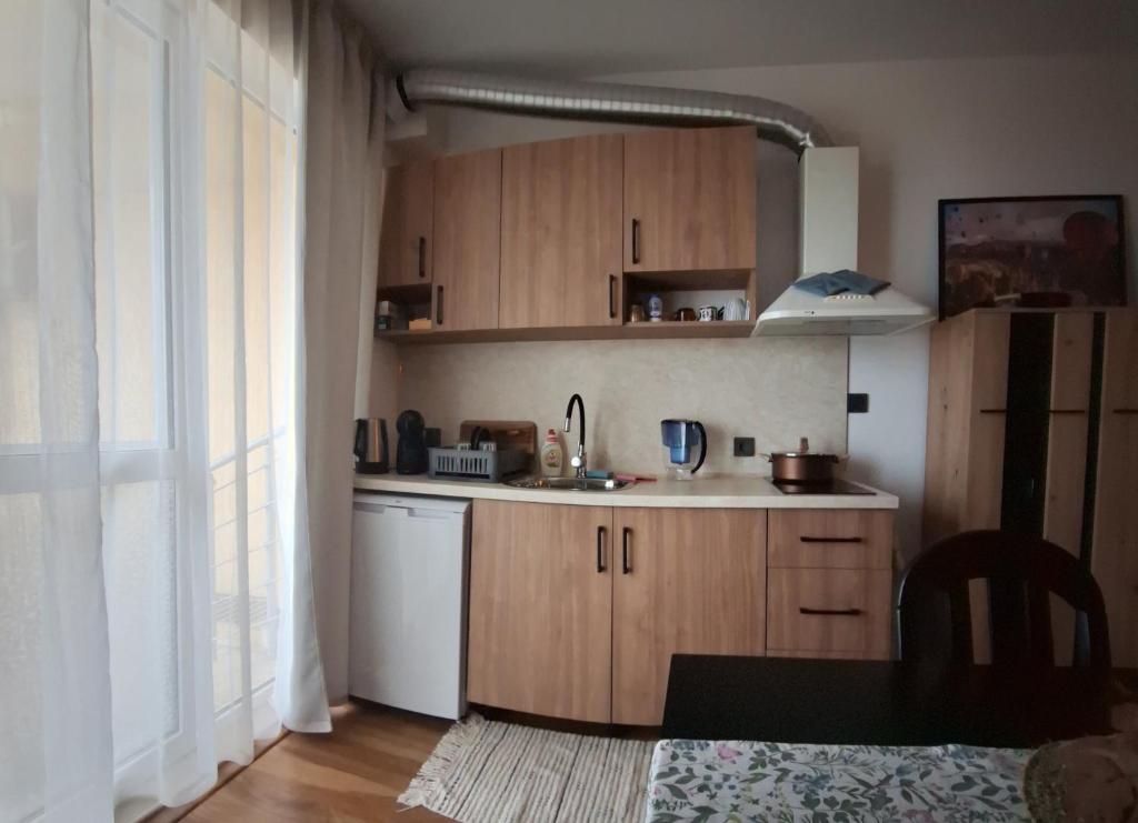 cocina con armarios de madera y lavavajillas blanco en Студио Бяла, en Byala