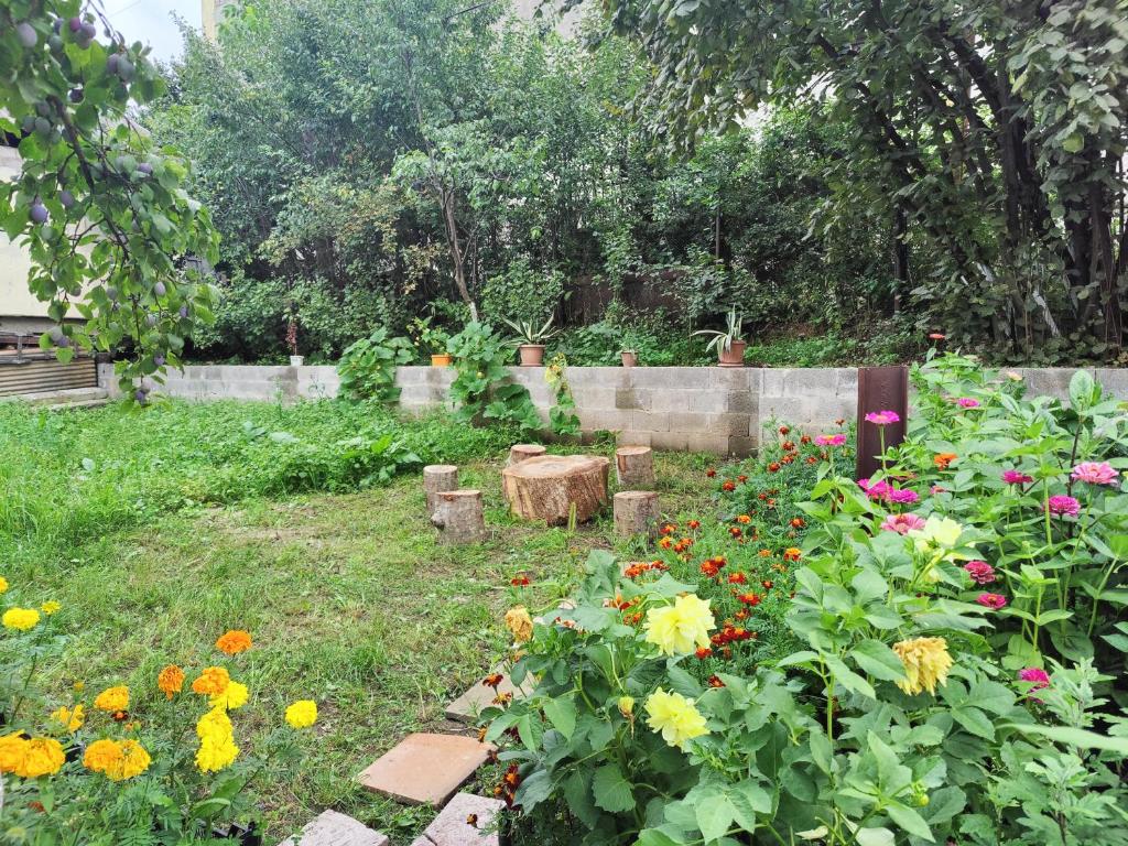 Zahrada ubytování Sunny Lodge Dilijan