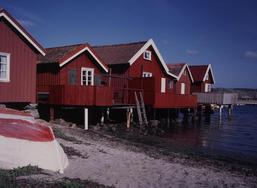 Náttúran í nágrenni hótelsins