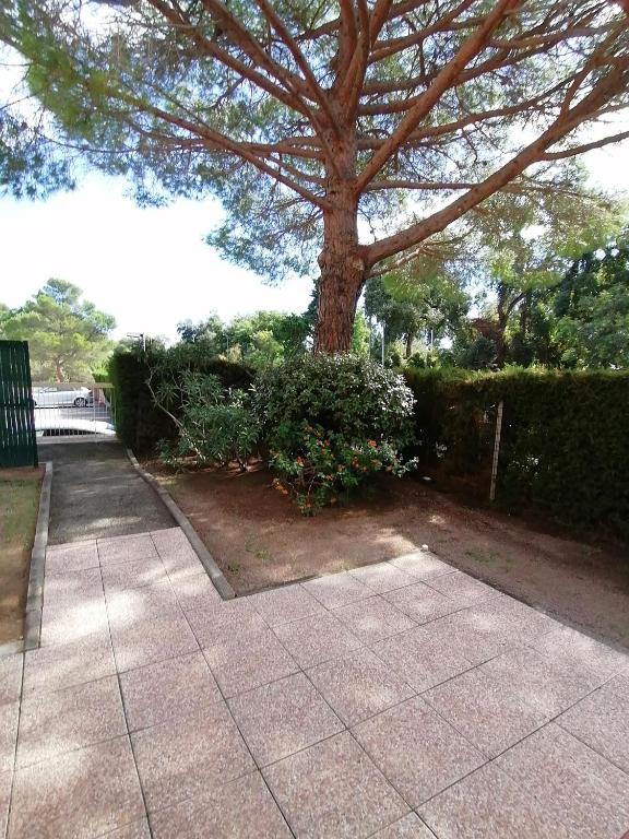 un grand arbre dans un jardin avec un trottoir dans l'établissement Estivales 2, à Saint-Raphaël