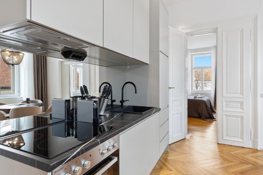 Kuchyň nebo kuchyňský kout v ubytování sgrafit apartments - Self Check-In