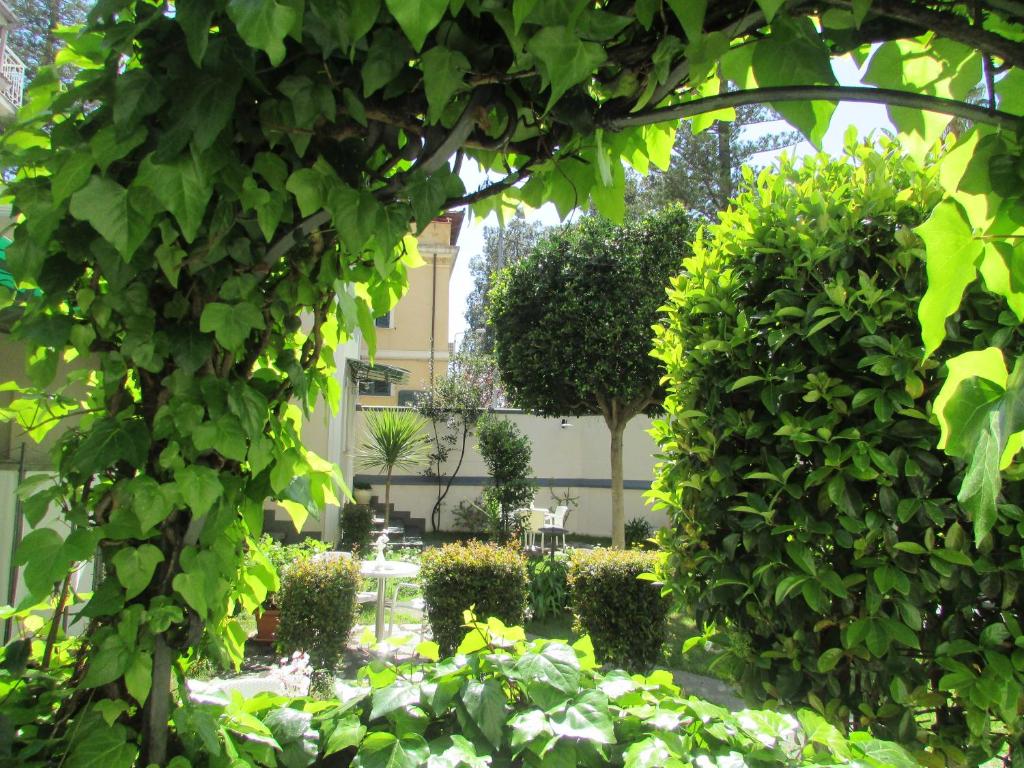 Vonkajšia záhrada v ubytovaní Villa Vittoria Tropea B&B