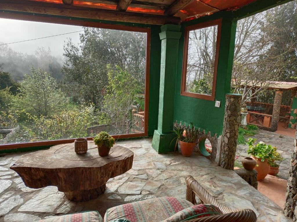 Zahrada ubytování Los Matos, Canarian house in Valleseco