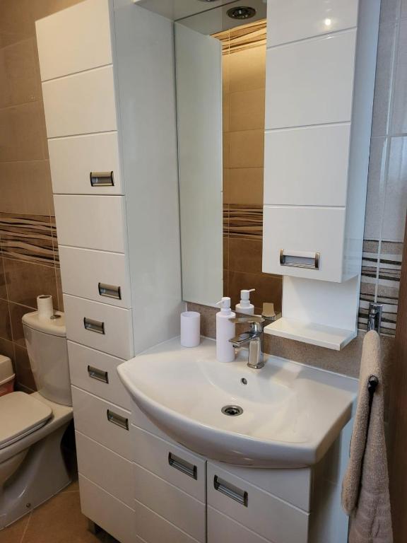 Koupelna v ubytování Apartman Djuric