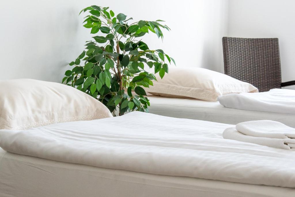 Apartmány Hradební - 18