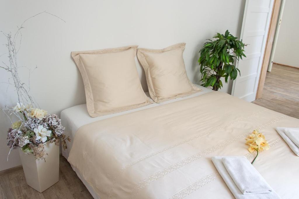 Apartmány Hradební - 5