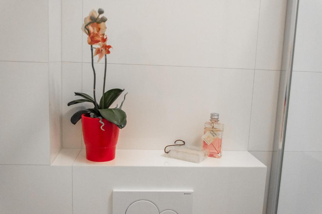 Apartmány Hradební - 6