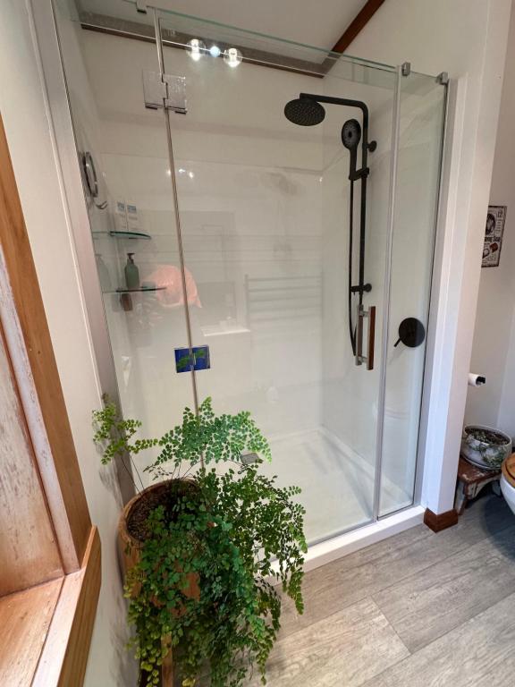 The Hidden Gem in Cambridge - One to Two Bedroom Suite - Resim 15