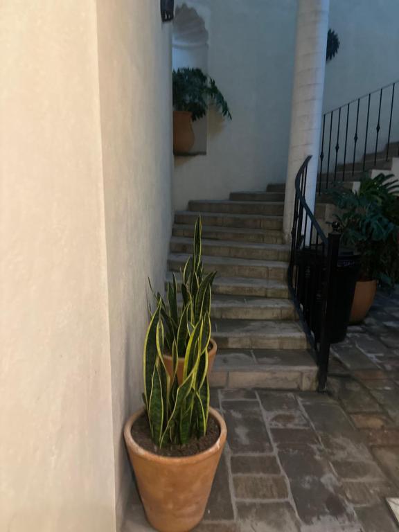 Fotografie z fotogalerie ubytování Suites Santa Noche & Spa v destinaci San Miguel de Allende