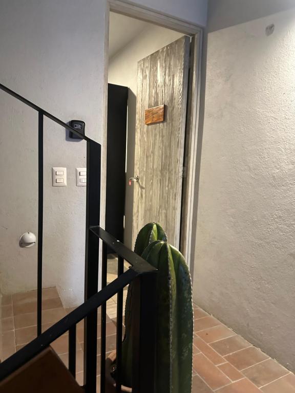 Fotografie z fotogalerie ubytování Suites Santa Noche & Spa v destinaci San Miguel de Allende