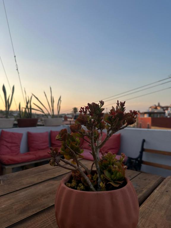 Balkón nebo terasa v ubytování Suites Santa Noche & Spa