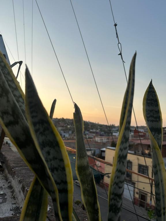 Fotografie z fotogalerie ubytování Suites Santa Noche & Spa v destinaci San Miguel de Allende