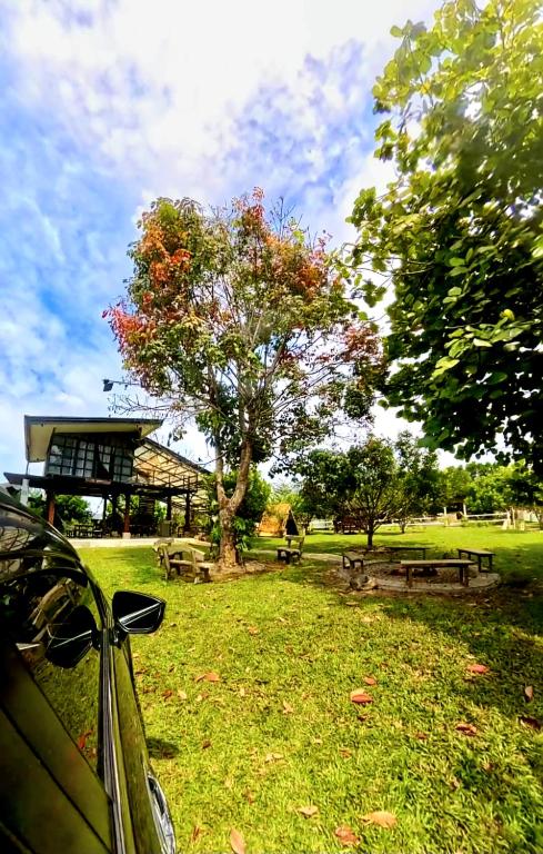 Zahrada ubytování La Granja Farmstay Dipolog