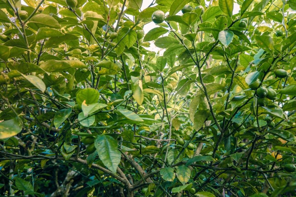 big sale was 258 now from 138 for 2or3 bedrooms - Resim 12