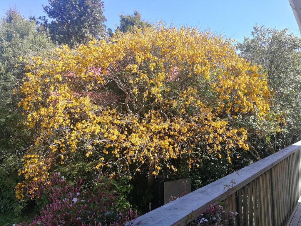 big sale was 258 now from 138 for 2or3 bedrooms - Resim 16