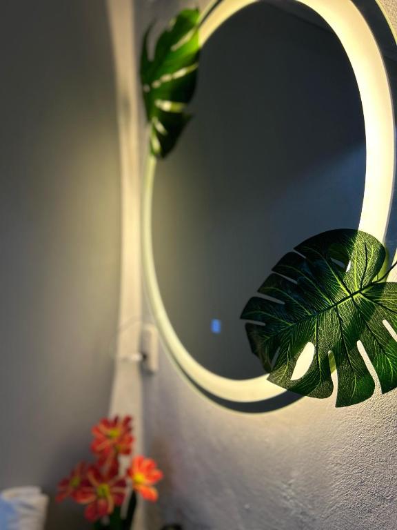 a mirror with a plant and a vase with flowers at Residencia Esmeralda in Agua Buena