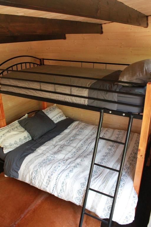 Postel nebo postele na pokoji v ubytování The Dogwood Cabin - Cowichan Valley Bunkie Glamping