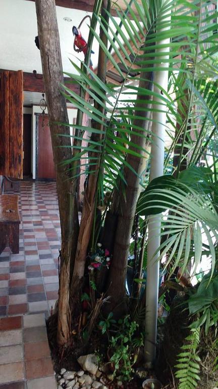  Pousada Aloes
