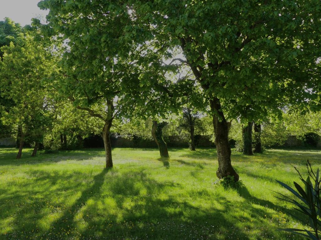 a group of trees in a field with green grass at Hôtel et SPA du Château in Lagord