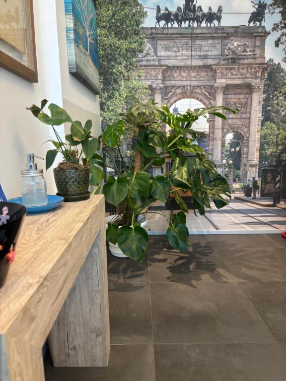 ミラノにあるEnjoy Garden - Flavio Baracchini 9 - Roomsの鉢植え