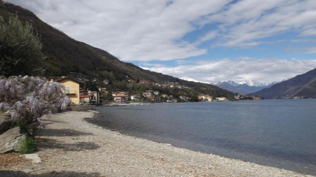 a beach with a town next to a body of water at Il CORTILETTO in Acquaseria