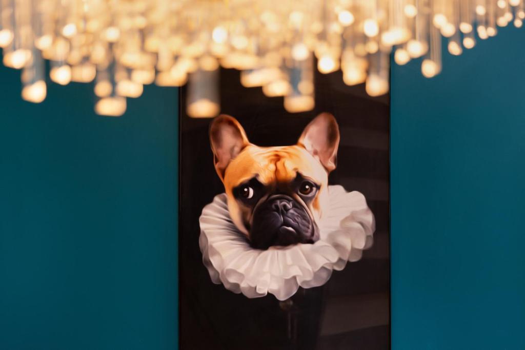 Urban Design Suites Nürnberg - Resim 12