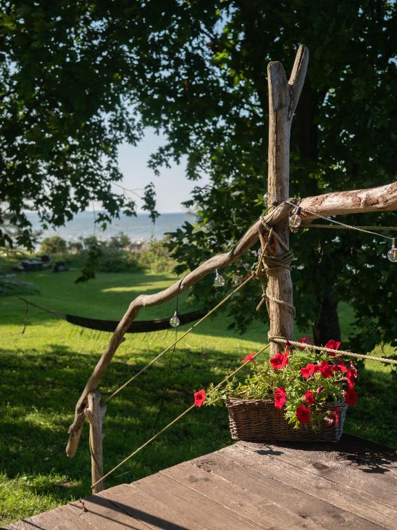 Zahrada ubytování Mereääre Glamping ja Rannamaja