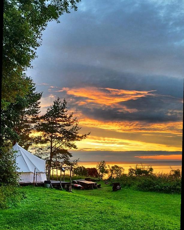 Příroda nedaleko luxury tent