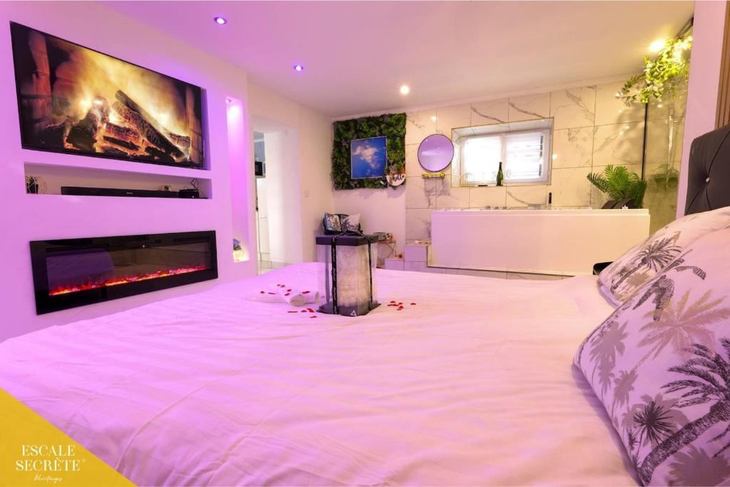 Postel nebo postele na pokoji v ubytování Escale secrète Montargis Jacuzzi Terrasse Parking gratuit