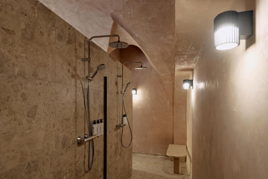 Hotel Palais Mailberger Hof - Resim 36